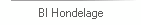 BI Hondelage