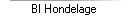 BI Hondelage